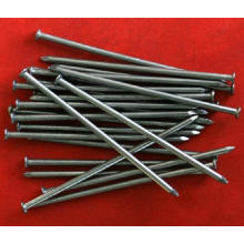 Common Iron Wire Nail in Good Quality